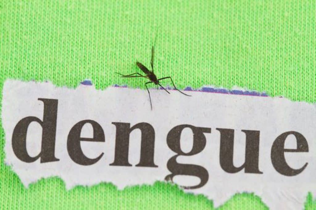 Acre sofre com o aumento do número de casos de dengue neste início de ano